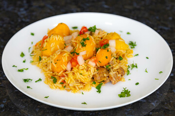 Traditional Brazilian dish rice, chicken and pequi (caryocar brasileinse) known as galinhada goiana