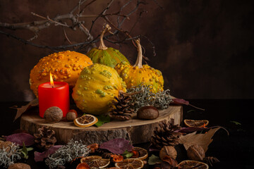 Close-up of pumpkins on wood with autumn leaves, nuts and orange candle, dark background, horizontal, with copy space