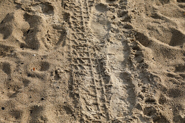 Tyre tracks on sandy beach
