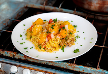 Traditional Brazilian dish rice, chicken and pequi (caryocar brasileinse) known as galinhada goiana