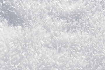 Schneekristalle