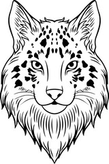 illustration of cat face , vector illustration