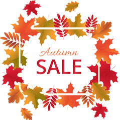 Fall colorful leaves frame and the text Autumn Sale on a transparent background. Autumn sale discount promotion banner design. Advertising sale concept poster design. Sale banner, sale tag
