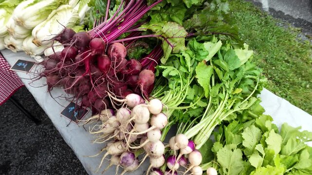 A closeup of fresh beets and turnips at a farmers market. The beets are bright red and the turnips are white with purple streaks. The beets are bundled together with their greens still attached.