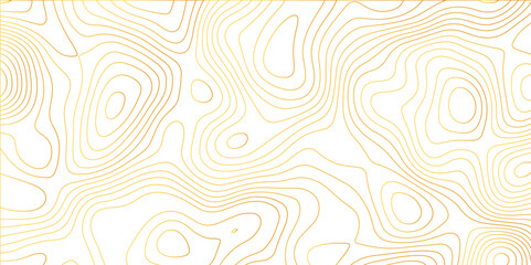 Fresh clean topography vector abstract background desktop wallpaper for print works digital drawing curved lines flowing trail geo texture