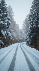 Obraz premium Scenic Journey Through a Snow-Covered Landscape on a Curvy, Serene Road in Winter