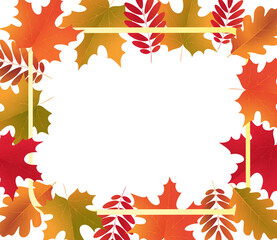 Autumn composition with frame of colorful fall leaves on a transparent background. Autumn card template design banner