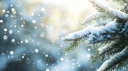 Snow-dusted pine branches with glowing golden lights. Festive Christmas scene ideal for backgrounds.