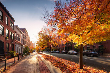 Naklejka premium Colorful Fall Leaves Line the Streets in a Vibrant City During Autumn Sunset