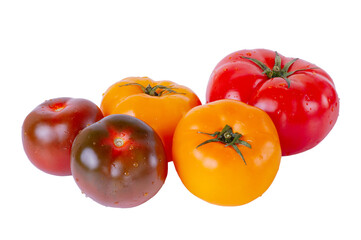 Ripe tomatoes of yellow, black and red color with water drops isolated on white background