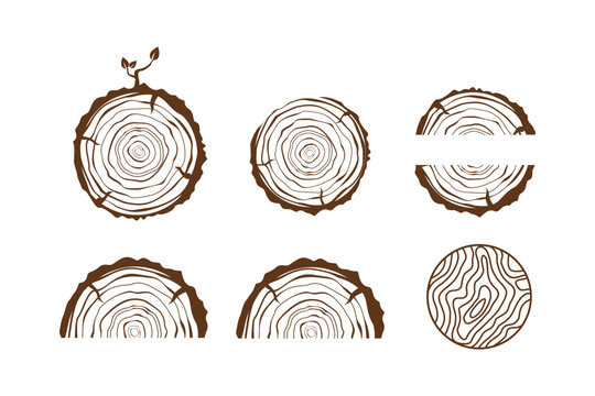 cross section of the trunk with tree rings Logo design vector. Tree growth rings. Tree trunk cross-section