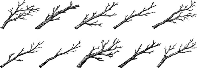 set of branches icon vector on transparent background © LetsGoVector