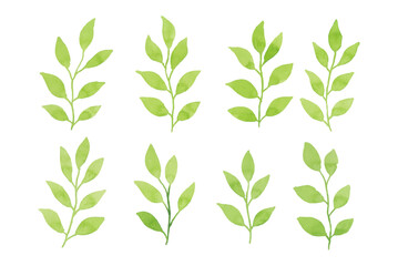 Assortment of watercolor leaves illustration set - green leaf branches collection for wedding, greetings, stationary, wallpapers, fashion, background. olive, green leaves, Eucalyptus etc