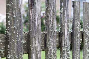 an old wooden plank fence overgrown with moss
