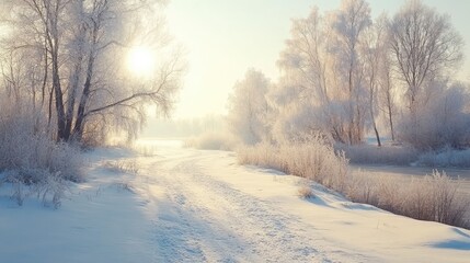 Fototapeta premium Winter landscape of a snow-covered forest in Siberia, with frost on trees and a bright sky.