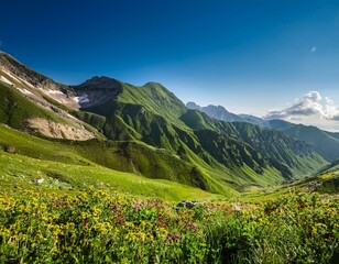 Obraz premium green mountain nature wilderness vegetation