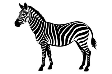 Zebra Silhouette | isolated vector silhouette illustration on white background