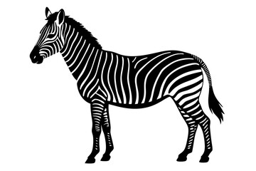 Zebra Silhouette | isolated vector silhouette illustration on white background