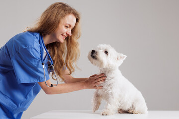 Healthy pet being examined by happy caring doctor on white background