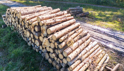A stack of freshly cut wooden logs sits on the ground, showcasing their natural texture and color...