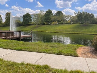 lake in the park