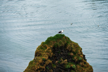 views of the cliffs surrounding the village of Arnarstapi during a rainy day on the Snaefellnes...
