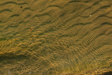 Rippled sand patterns under shallow water with sunlight creating wave-like reflections and arcs...