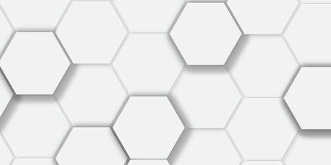 Abstract white background with hexagon and hexagonal background. vector abstract pattern with hexagonal white and gray technology line paper background.  Luxury honeycomb grid White Pattern. 