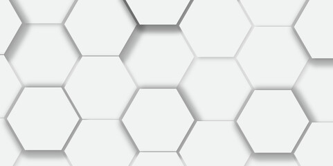 Abstract white background with hexagon and hexagonal background. vector abstract pattern with hexagonal white and gray technology line paper background.  Luxury honeycomb grid White Pattern. 