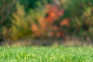 Jesienne kolory © Marcin