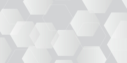 Abstract white background with hexagon and hexagonal background. vector abstract pattern with hexagonal white and gray technology line paper background.  Luxury honeycomb grid White Pattern. 