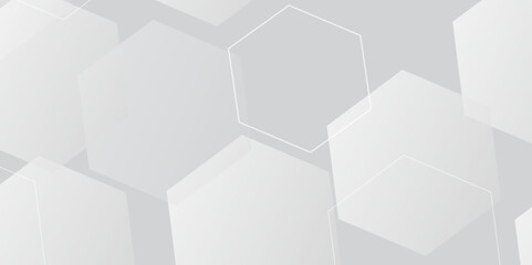 Abstract white background with hexagon and hexagonal background. vector abstract pattern with hexagonal white and gray technology line paper background.  Luxury honeycomb grid White Pattern. 