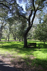 Bench in the park
