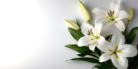 Elegant funeral program design featuring a serene white background.