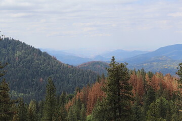 Landscape in the mountains