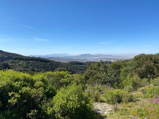 landscape with mountains