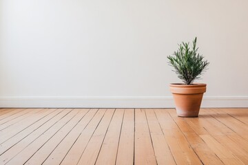Empty area showcasing a wooden flooring and an ornamental plant in a container