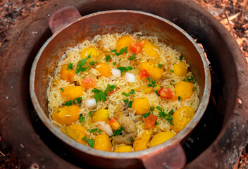 Traditional Brazilian dish rice, chicken and pequi (caryocar brasileinse) known as galinhada goiana