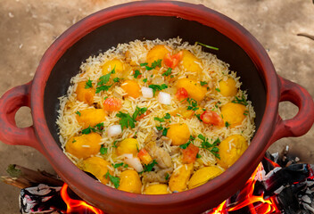 Traditional Brazilian dish rice, chicken and pequi (caryocar brasileinse) known as galinhada goiana