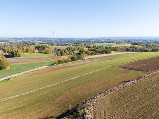 Fototapeta premium A wide view of lush green fields under a clear blue sky, showcasing the beauty of rural landscapes in Poland. Ideal for nature lovers and agricultural themes.