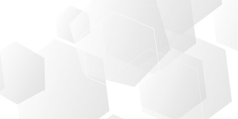 Abstract white background with hexagon and hexagonal background. vector abstract pattern with hexagonal white and gray technology line paper background.  Luxury honeycomb grid White Pattern. 