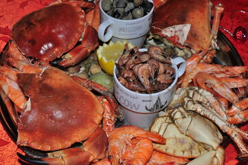 Joli plateau de fruits de mer