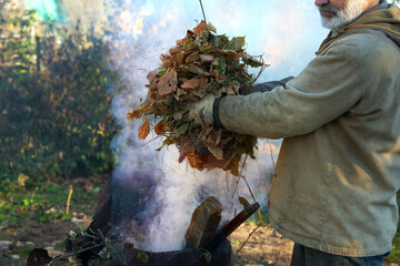 Autumn work in the garden. Cleaning and burning of fallen leaves. An adult man with an armful of...