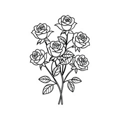 Roses Outline on White Background