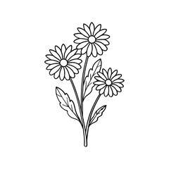 Obraz premium Elegant Hand-Drawn Floral Line Art Illustration