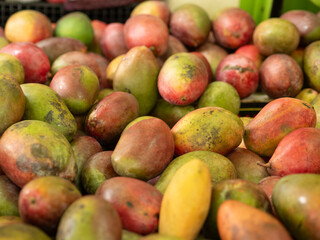 Bulk mangoes displayed for sale in the market