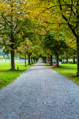 Path in the park between the trees during autumn