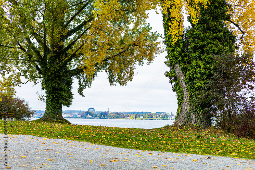 Wall mural Path in the park between the trees during autumn