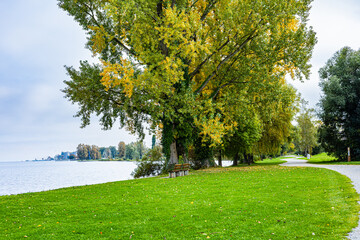 Path in the park between the trees during autumn
