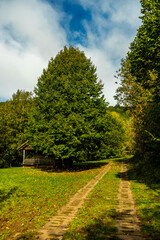 Naklejka premium Unterwegs an der Landesgrenze zwischen Hessen und Thüringen im wunderschönen Eichsfeld zur Burg Hanstein bei Bornhagen - Thüringen - Deutschland